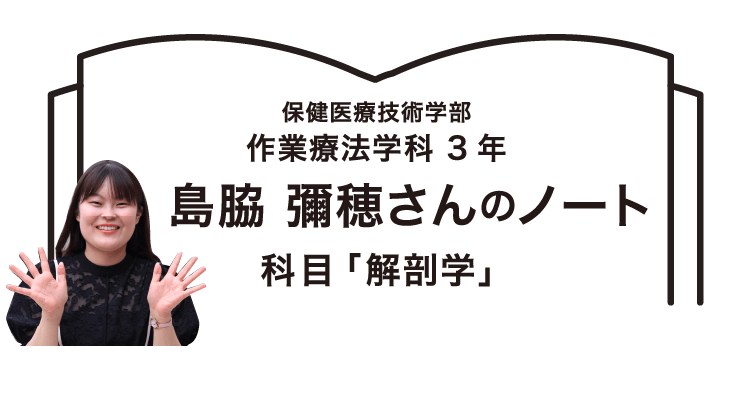 保健医療技術学部 作業療法学科 3年 島脇 彌穂さんのノート 科目「解剖学」