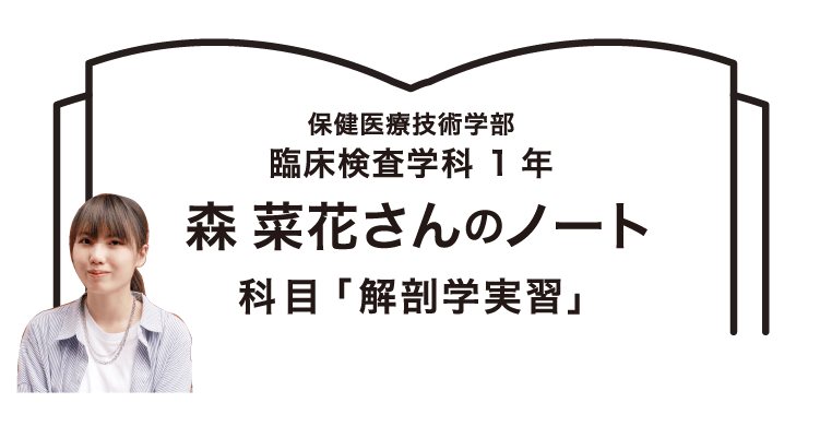 保健医療技術学部 臨床検査学科 1年 森 菜花さんのノート 科目「解剖学実習」