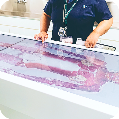 アナトマージテーブルの画像