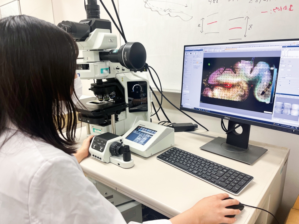 実習室見学(臨床検査)