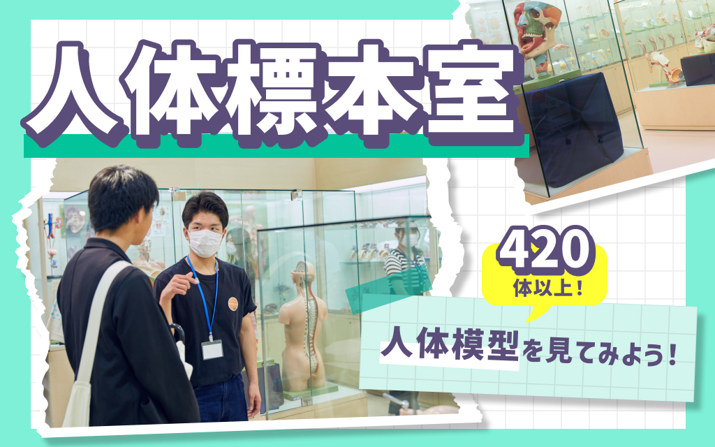 人体標本室